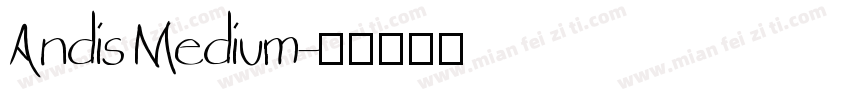 Andis Medium字体转换